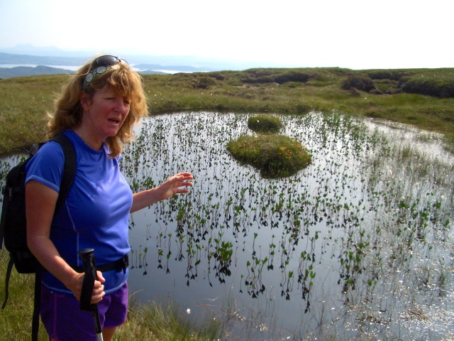 Angela talking about the 'bog beans' in this small pond